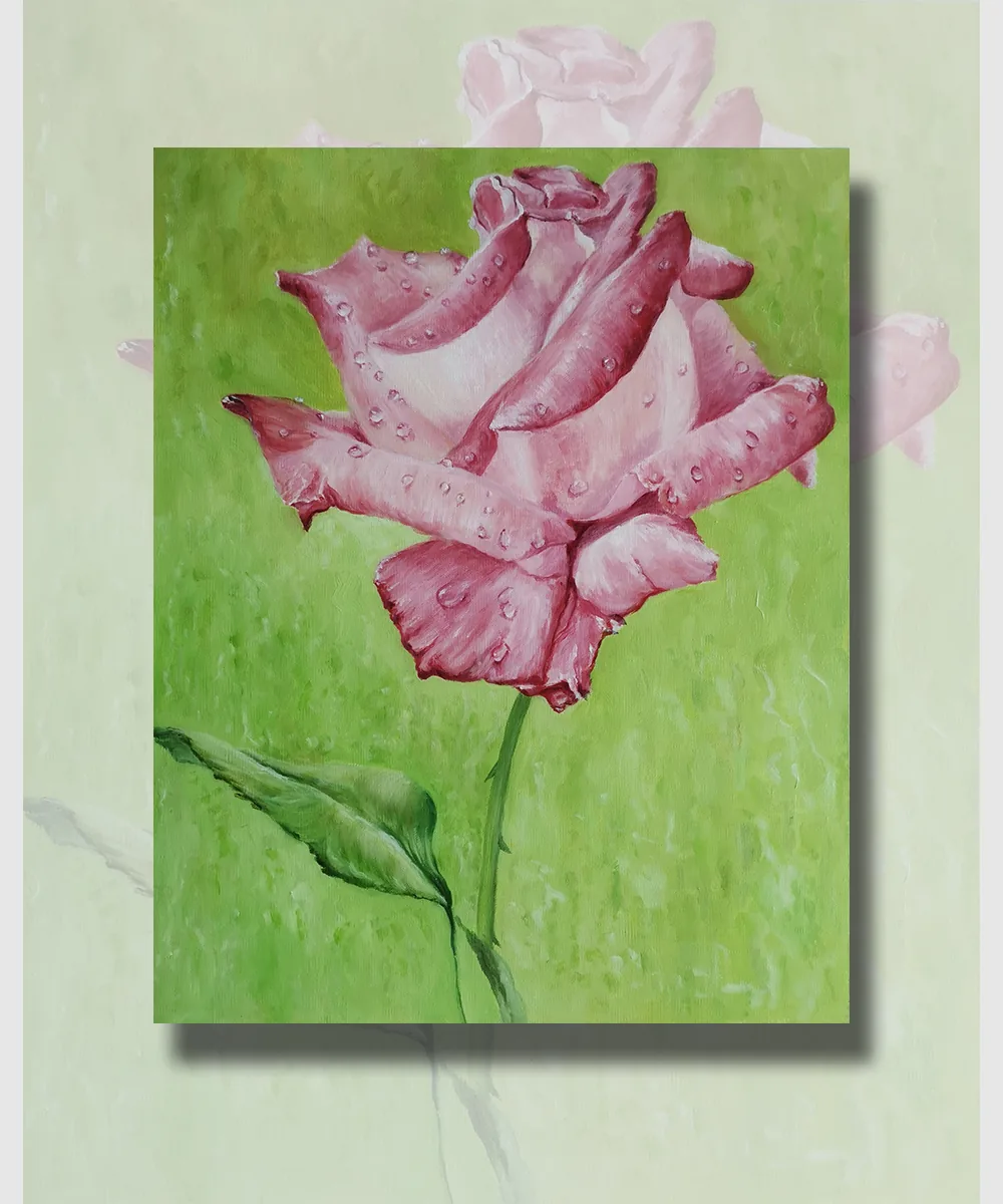 玫瑰与露 · Rose and Dew
