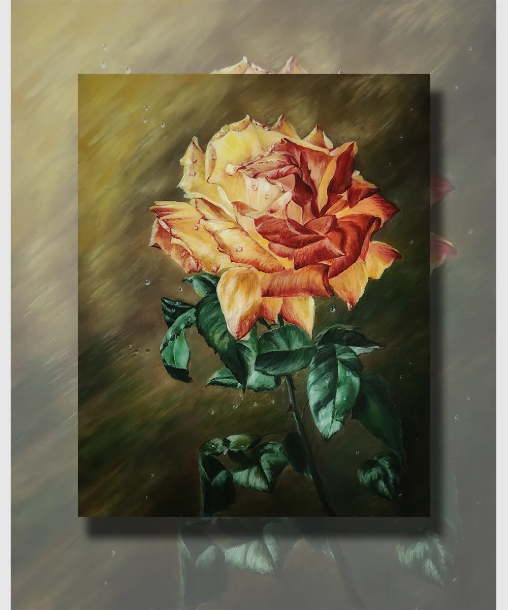 黄玫瑰 · Yellow Rose