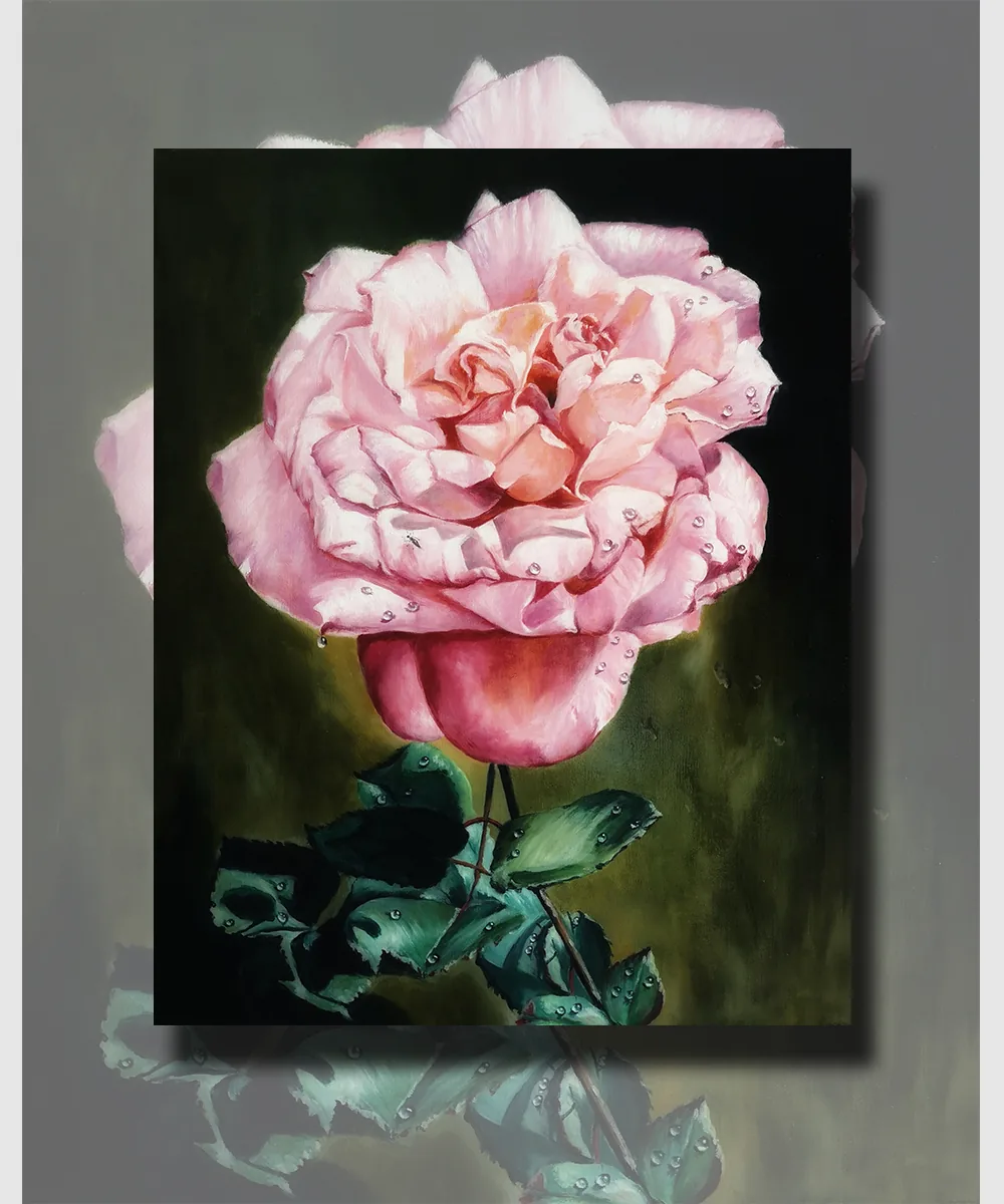 粉玫瑰 · Pink Rose